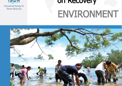 Guidance Note on Recovery: Environment