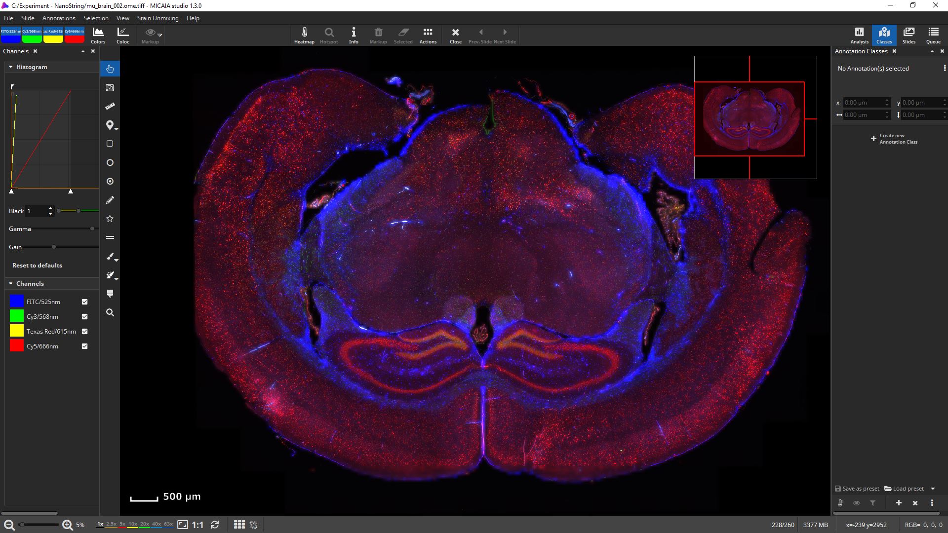 "Mouse Brain" scanned with NanoString GeoMx DSP (slide copyright @ NanoString) 