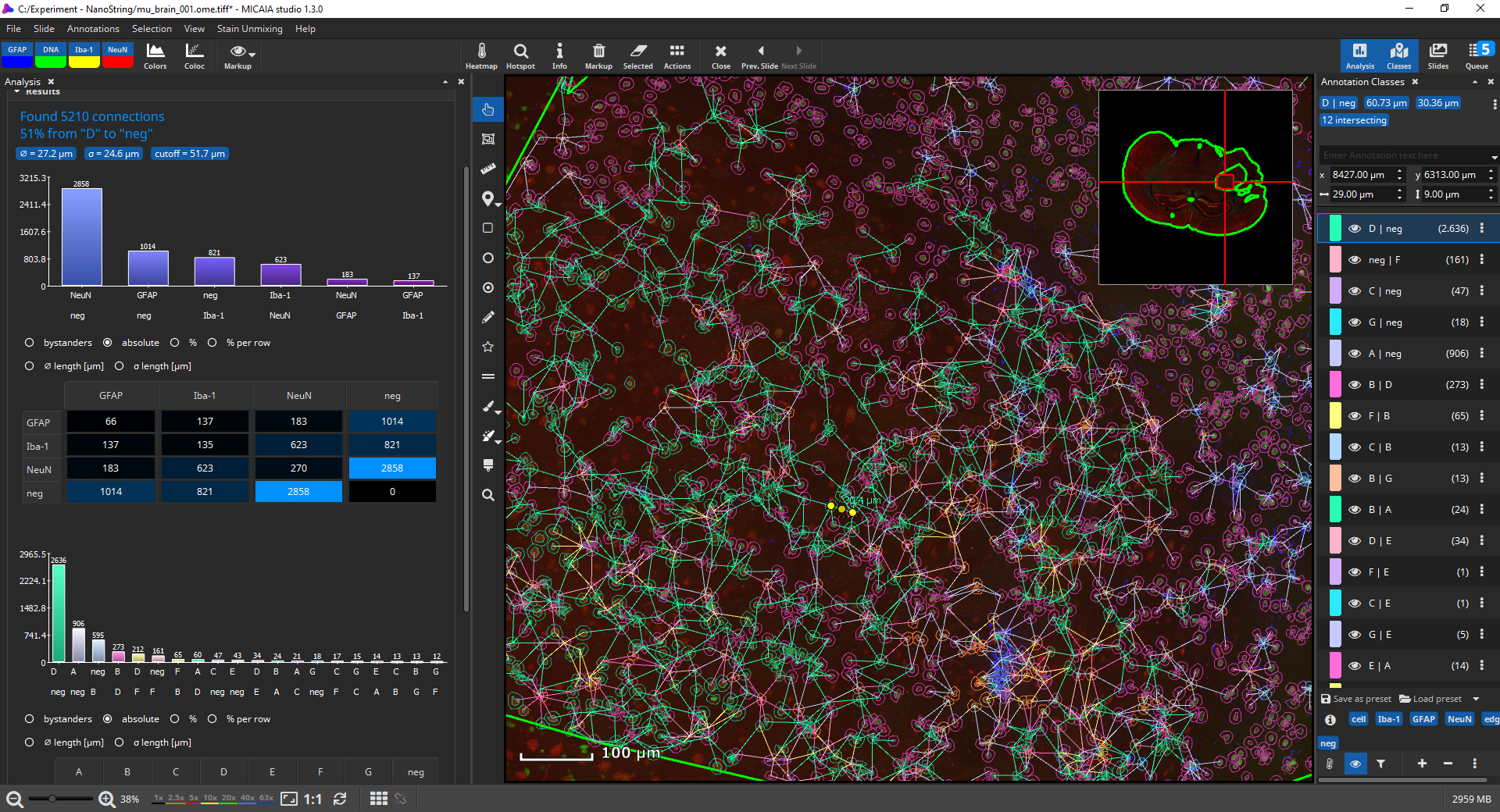 FL Colocalization App analysis result: cell-cell interactions