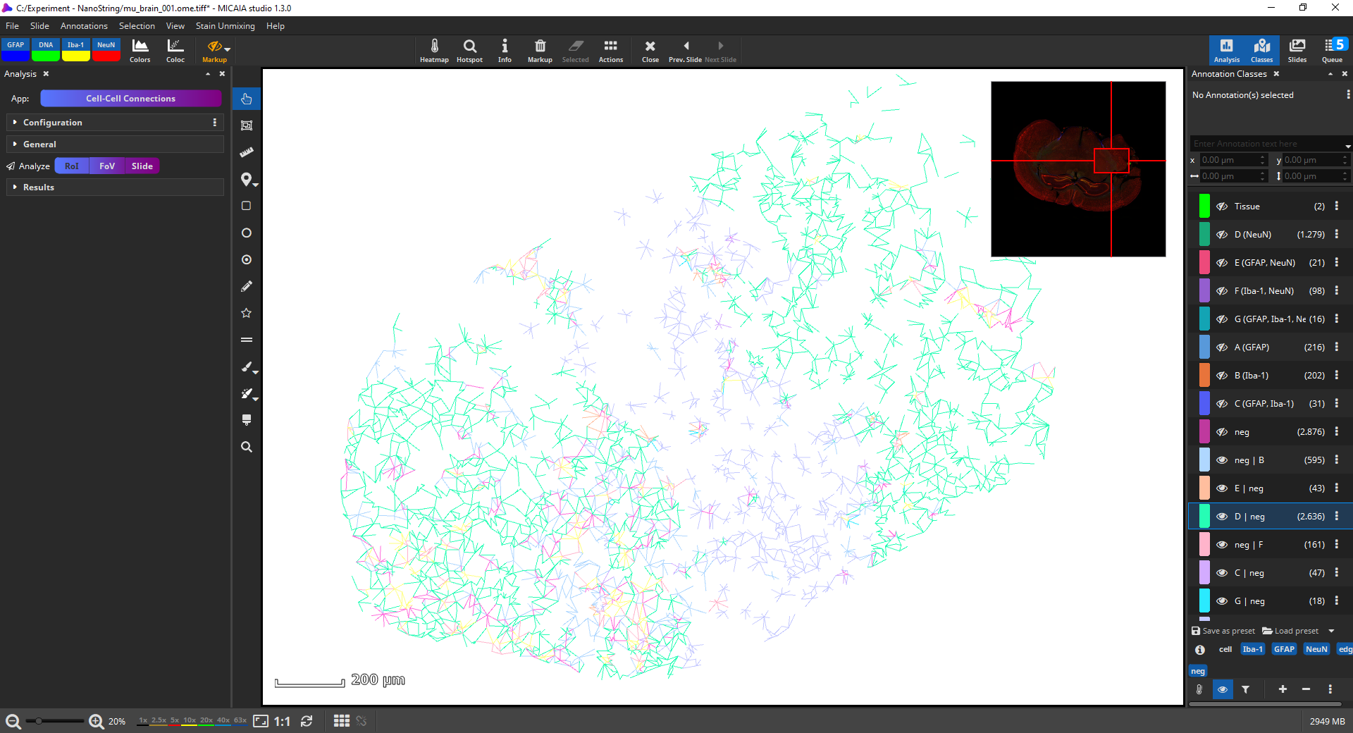 FL Colocalization App analysis result: cell-cell interactions