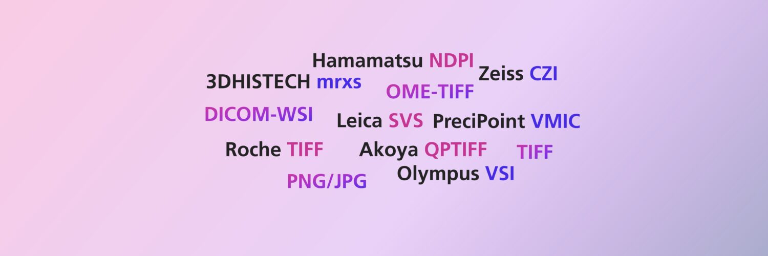 Word Cloud of WSI and I/O Formats