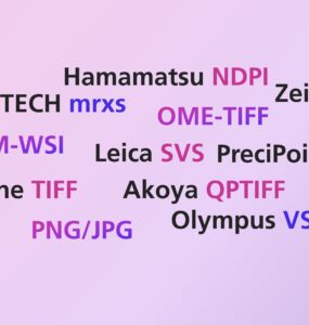 Word Cloud of WSI and I/O Formats