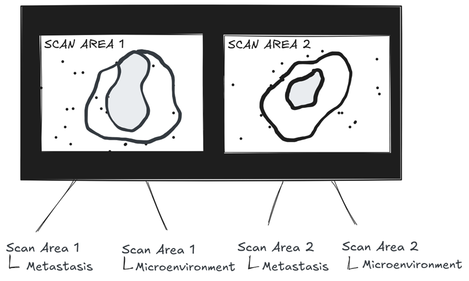 illustration of ROI hierarchy